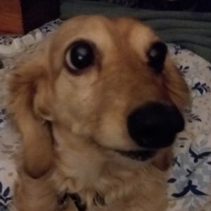 Meet your Posher, Jen